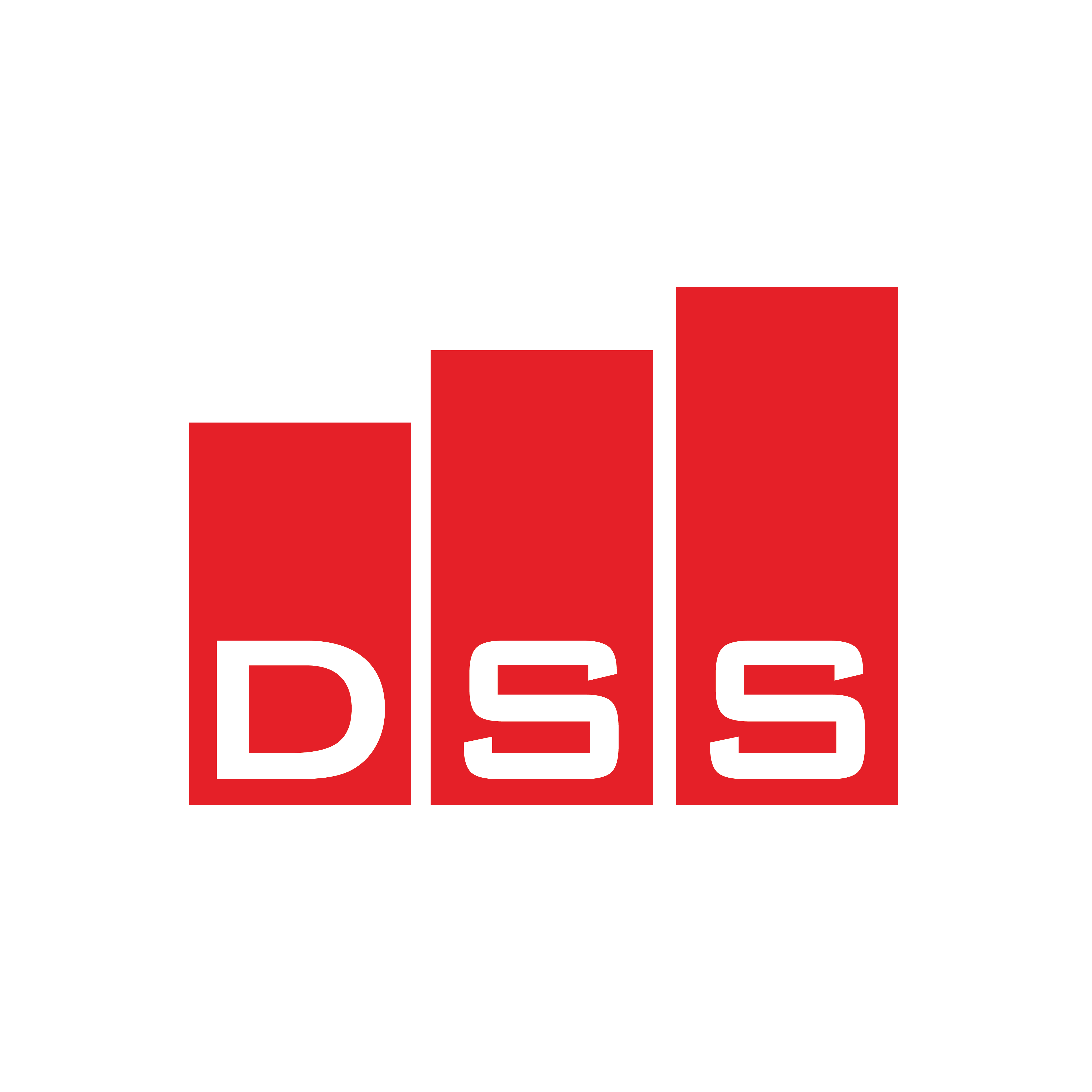 DSS Business Solution Sdn Bhd